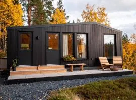 Compact and Cozy Cabin in Yllas for Work and Play