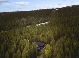 Stay North - Kuukkeli