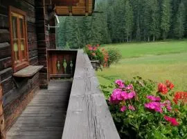 Apartment Tilliach