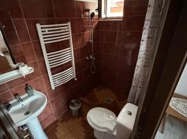 Casa Tradițională C&acirc;rtisoara, husdjursv&auml;nligt hotell i C&icirc;rţişoara