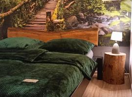 Siedlisko Czarny Kot, hotel v destinaci Lądek-Zdrój