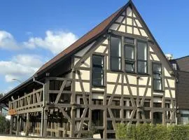 Cozy apartment near Basel