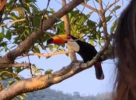 Sítio Recanto da Paz Casa Amarela