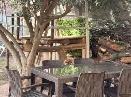 La casita del Olivo