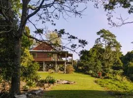 The Wolvi House - Scenic Mountain Retreat