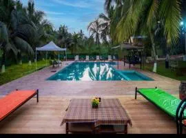 David resort by cayana stays