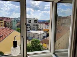 Zizkov Private Room City View