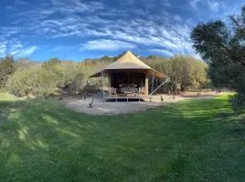 Ukiyo Nature Retreat