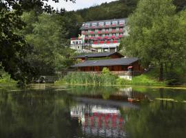 Waldhaus am See, hotel em Willingen