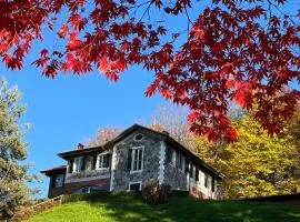 L'Elefante Fritz Boutique Lodge - Villa Piazzo