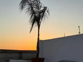 La Palma Oasi Urbana