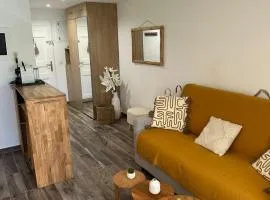 charming studio with garden in Roquebrune