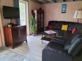 Ferienhaus Büffel mit Sauna in Twist