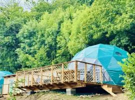 Bella Dome