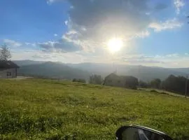 Dom nad Wisłą - pobyty rodzinne, grupowe, terapie