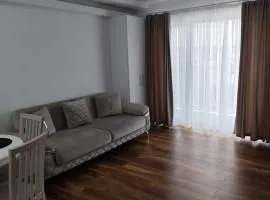 LCB Apartments Univ Suceava A128