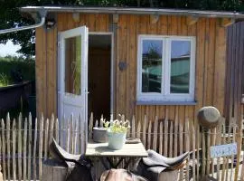 Gästehaus im Sayntal-Tiny Haus
