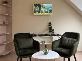 Zlati`s house 1