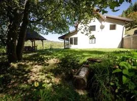 Omarsko vrelo - kuća na izvoru u srcu Tare