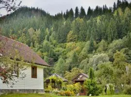 Комфортне Studio в Криворівні