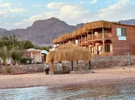Mermaid camp