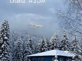 Relaxation in Guta Гута покращене шале