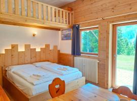 Valles Vacanze - ski in & ski out, hotel in Falcade