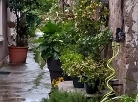 CasaLina