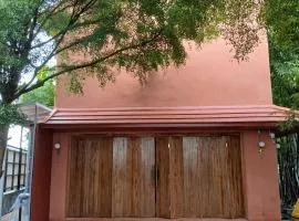 Tim & T Studio