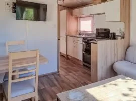 Gorgeous Home In Dingle With Wifi