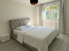 Grand appartement 2 chambres lumineux et moderne à Honfleur