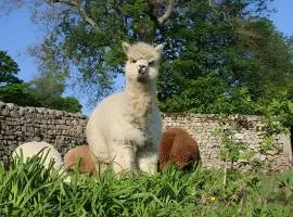 Lilodahu Gite et animaux rigolos