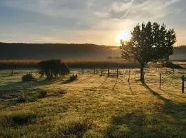 Chambre paisible à la campagne