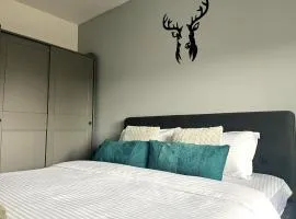 Deer House Next to Sinaia Plaza - Balcony & Private Parking