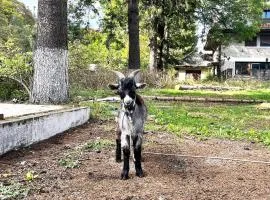 Deer House - Self Check-in & Free Parking
