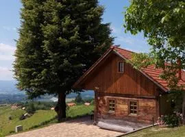 Oldhouse Knezovo