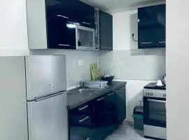 City Center Luxury Apartment