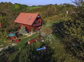 Amazing Home In Zorkovac With Sauna