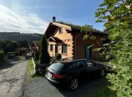 Harz - Blockhaus, 4 und 5 Sterne Blockhäuser, Sauna und Kamin