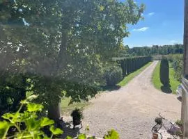 Agriturismo Corte Bonetti - Appartamento i Cipressi