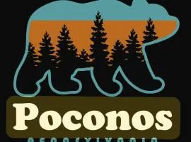 Poconos Masthope 6BR Home Ski Big Bear - Lake Pool