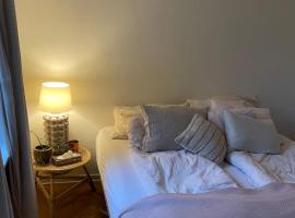 Stort v&aelig;relse udlejes i herskabslejlighed midt i Odense by, homestay ở Odense