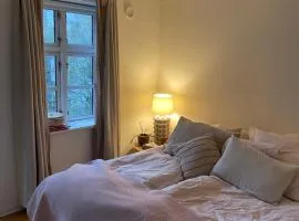 Værelse udlejes i herskabslejlighed midt i Odense by