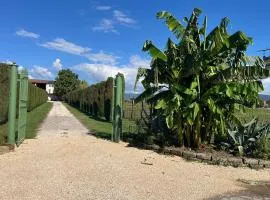 Agriturismo Corte Bonetti - Appartamento Il Salice