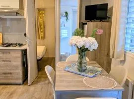 Ferret Family Lodge camping Les Embruns