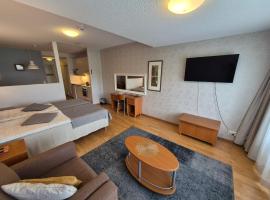 Ikaalisten Kylpylä Apartamentos rantahuoneisto Terme, hotel en Ikaalinen