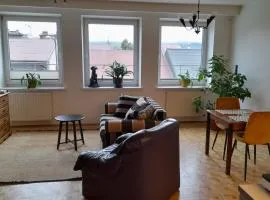 Apartament Centrum