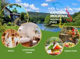 Villa - Riviera Nistreana