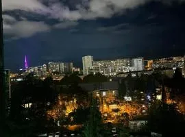 Pekini Plaza Onix