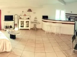 Duplex de charme avec terrasse au coeur du village
